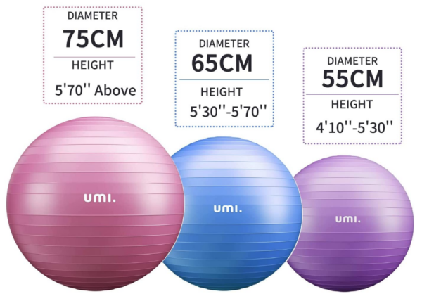 Amazon Brand – Umi – Palla Fitness con Pompa